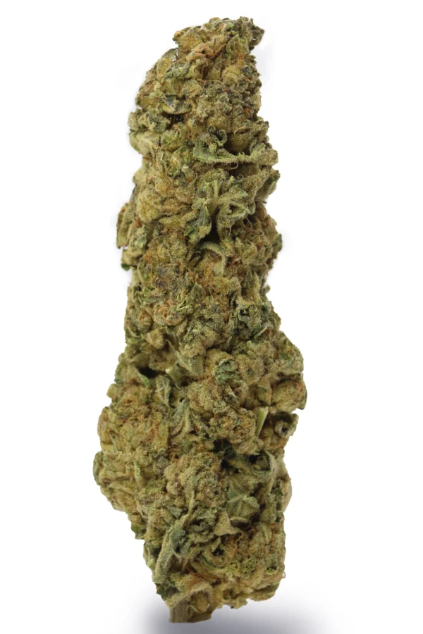 Cambodian 4G Flower