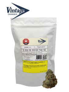 Gas Jockey Indica Flower 14g