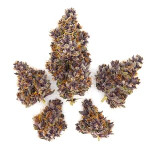 Tropical Cherry Sativa Flower 28g