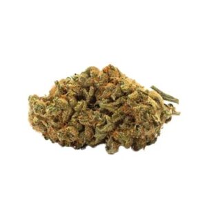 Glazed Scout Cookies Sativa Flower 28g